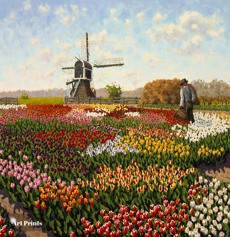 Tulpenveld Voorhout