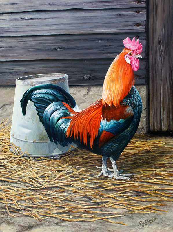 Patrijs leghorn