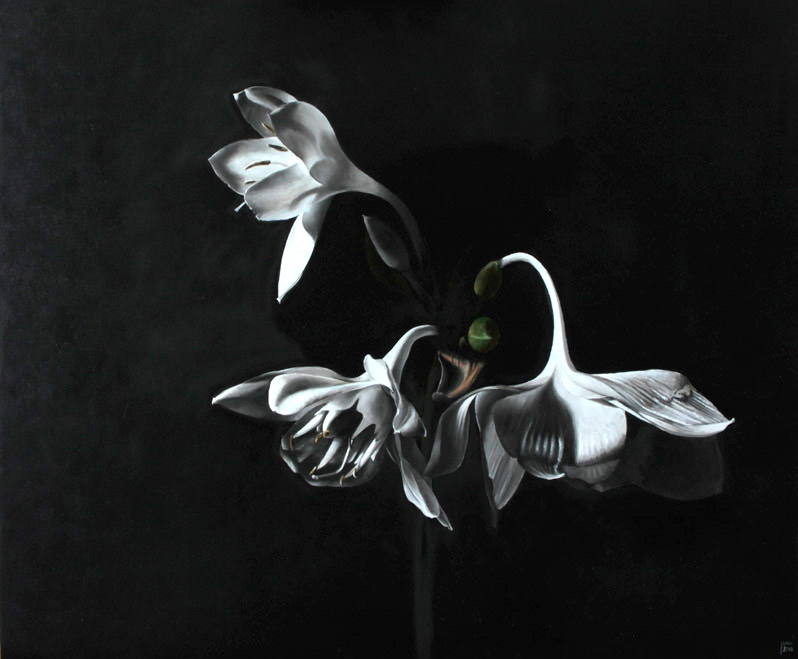 Eucharis