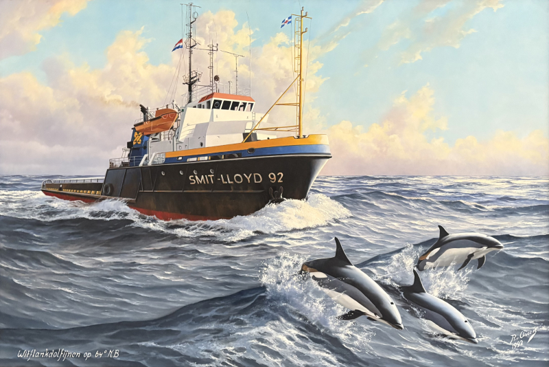 Witflankdolfijen voor de Smit Lloyd 92
